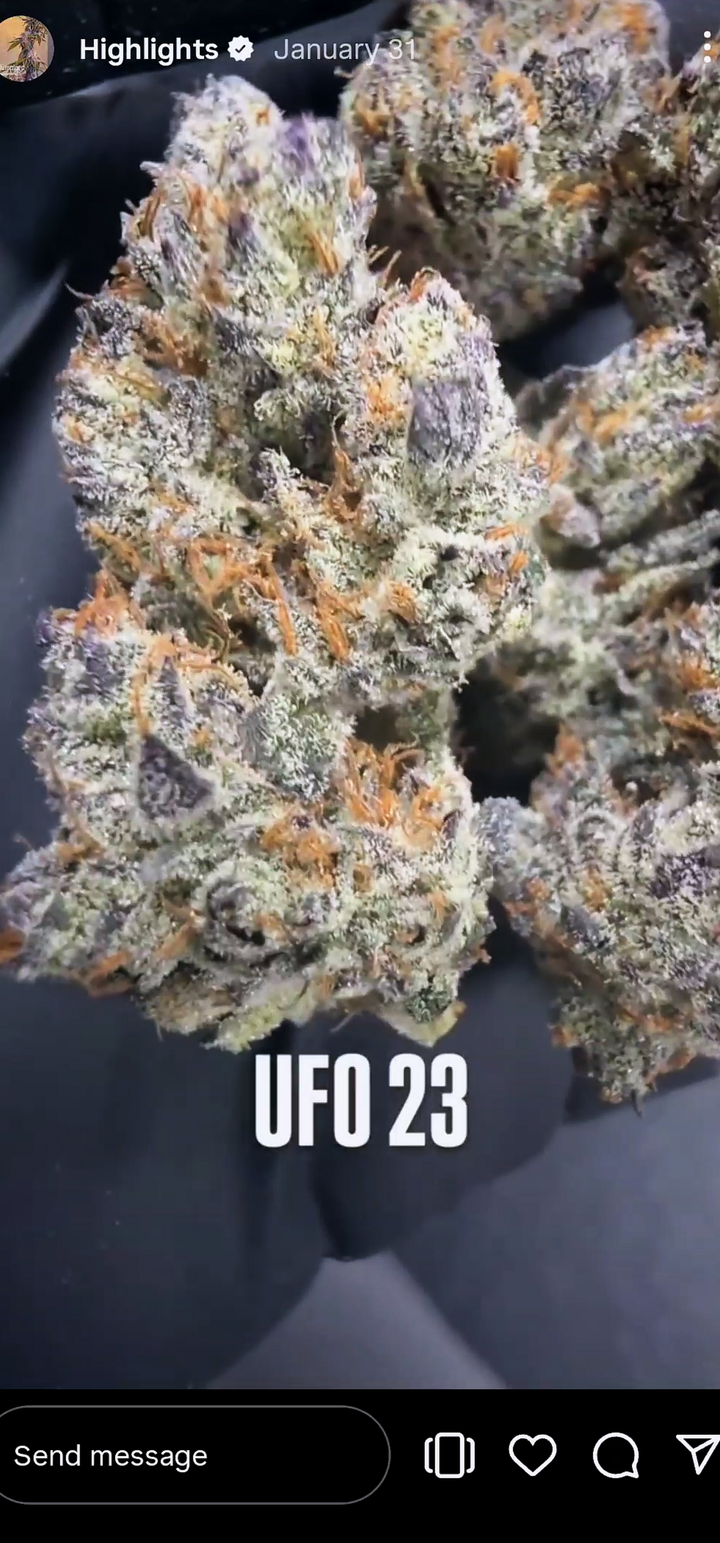 U.F.O. (Ooze x Zero Gravity 60) Snips