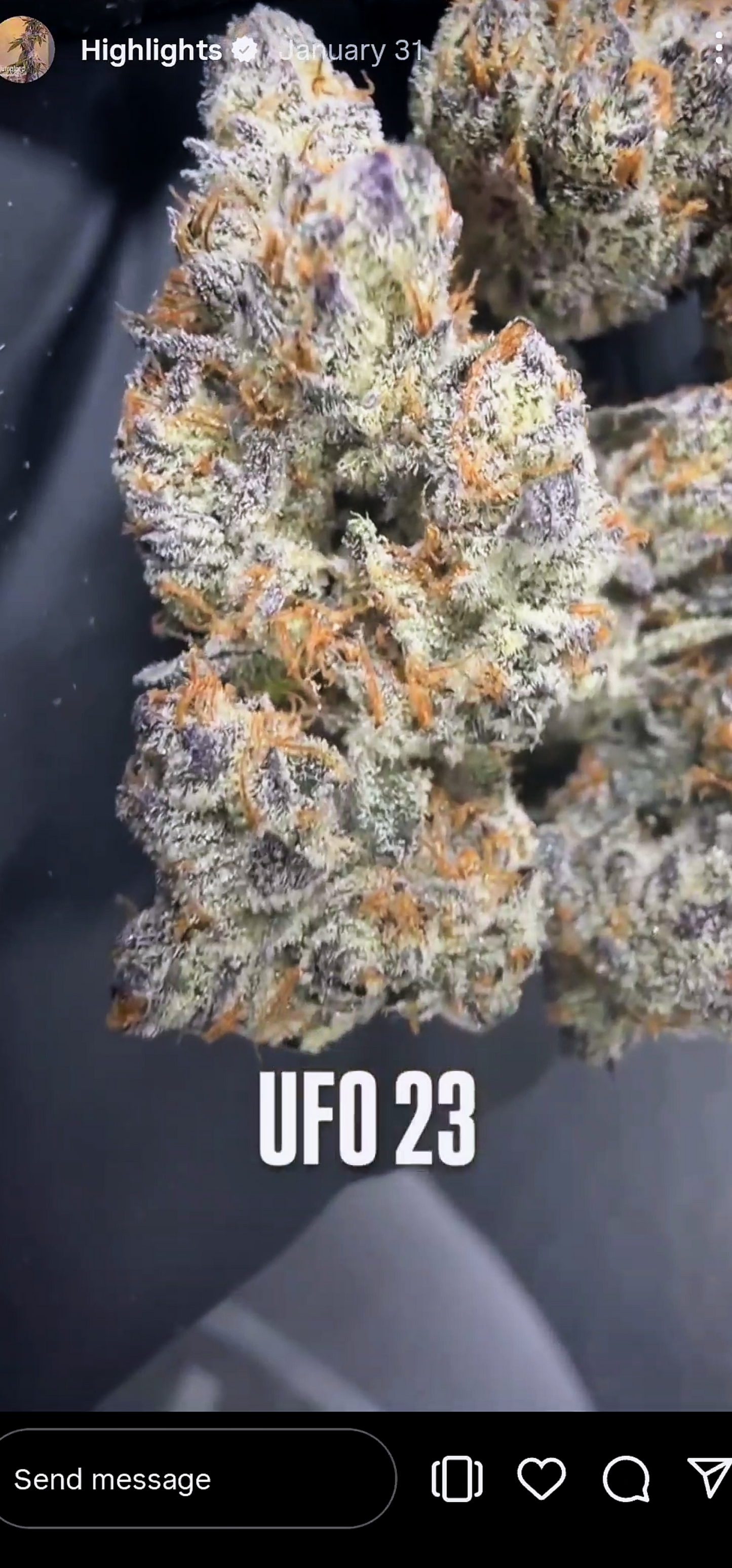 U.F.O. (Ooze x Zero Gravity 60) Snips