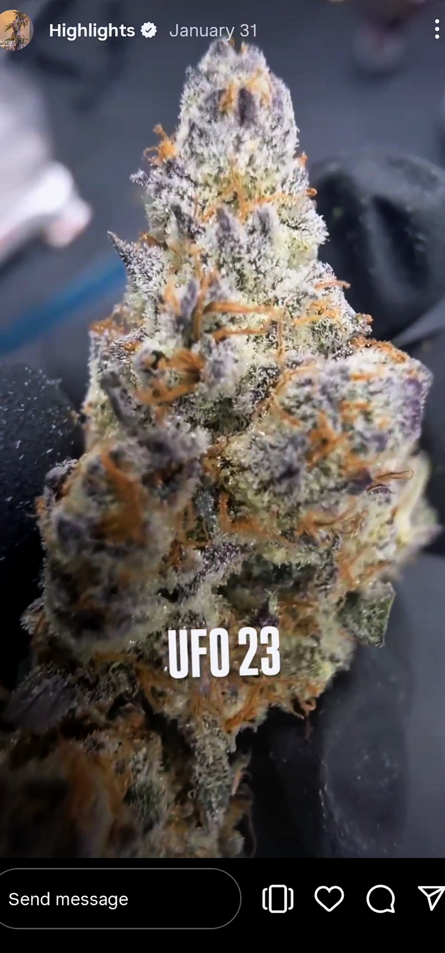U.F.O. (Ooze x Zero Gravity 60) Snips