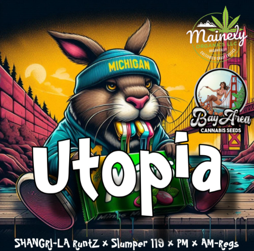 Utopia Reg Seeds