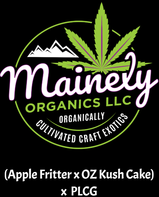 Apple Fritter x OZ Kush Cake x PLCG "Fem Seeds"