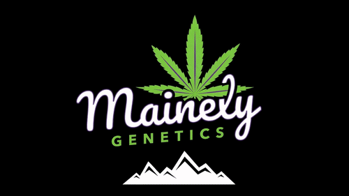 Mainely Genetics logo