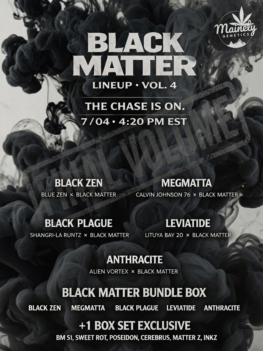 Black Matter Boxset Volume 4