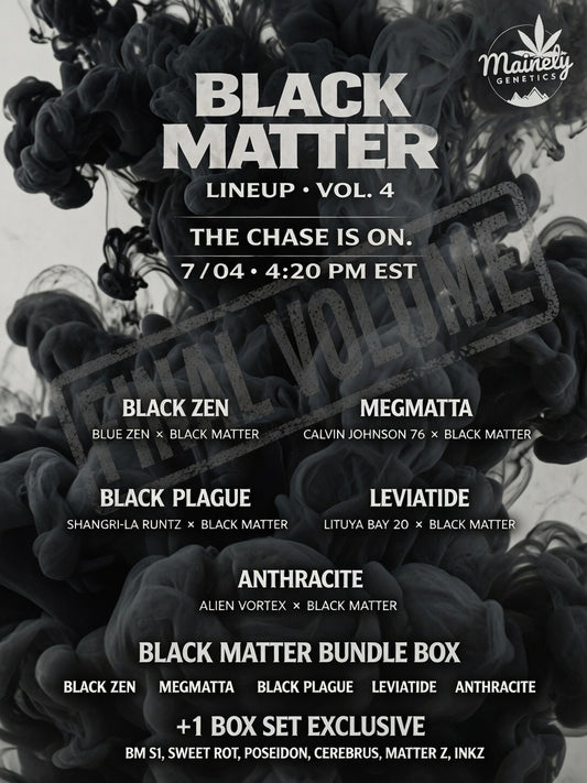Black Matter Boxset Volume 4