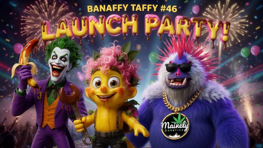Banaffy Taffy Bundle – $420 (Limited to 20 Only)