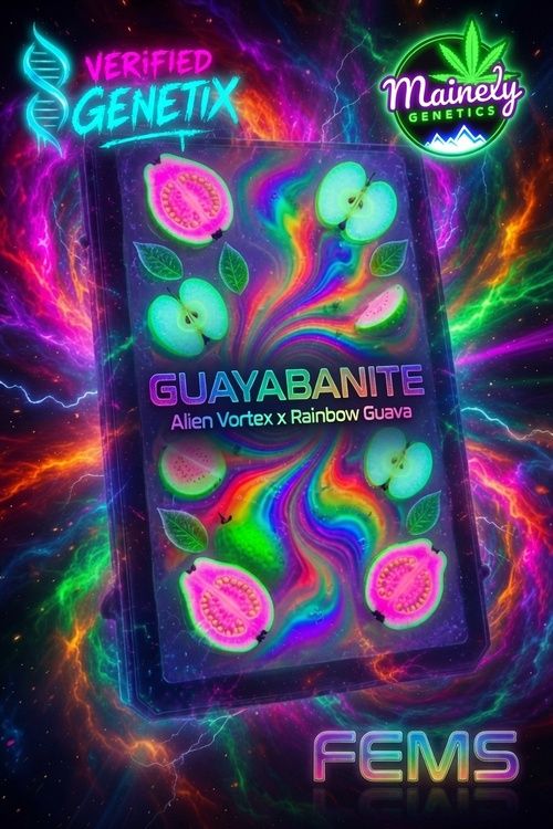 Guayanabite (Alien Vortex 94 x Rainbow Guava)