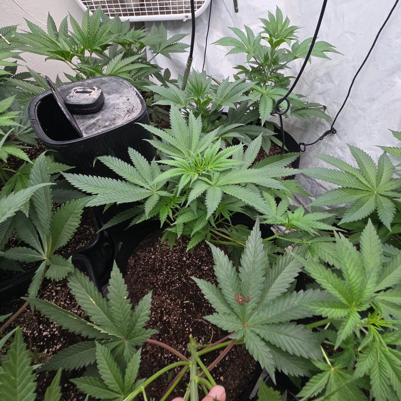 Rds420