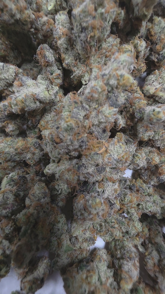 Pure Pressure 50 - SNIPS
