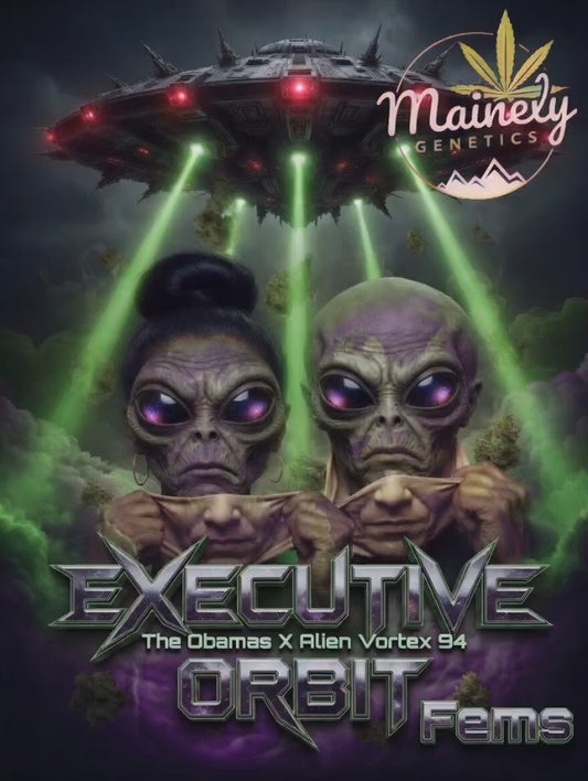 Executive Orbit (The Obamas x Alien Vortex 94)
