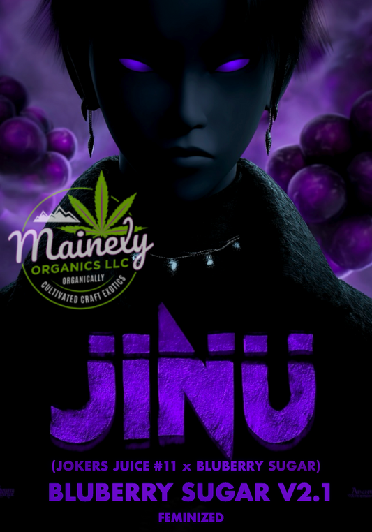 Jinu (jokers juice 11 x Bluberry sugar)