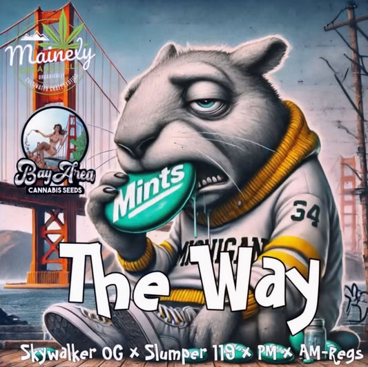 The Way {Skywalker OG x (Slumper 119 x (PM x AM)} regs