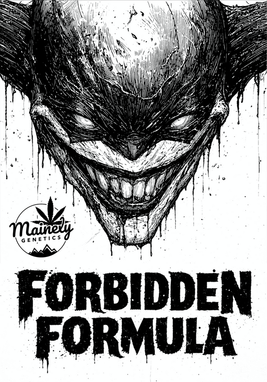 Forbidden Formula 6pk