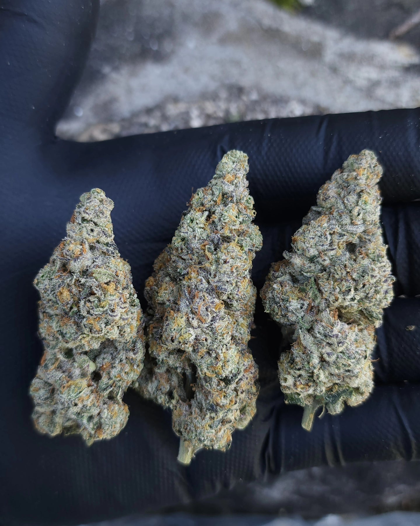 Ultra premium tier 5 strain Cut package!!! Only 2 released per month at this price