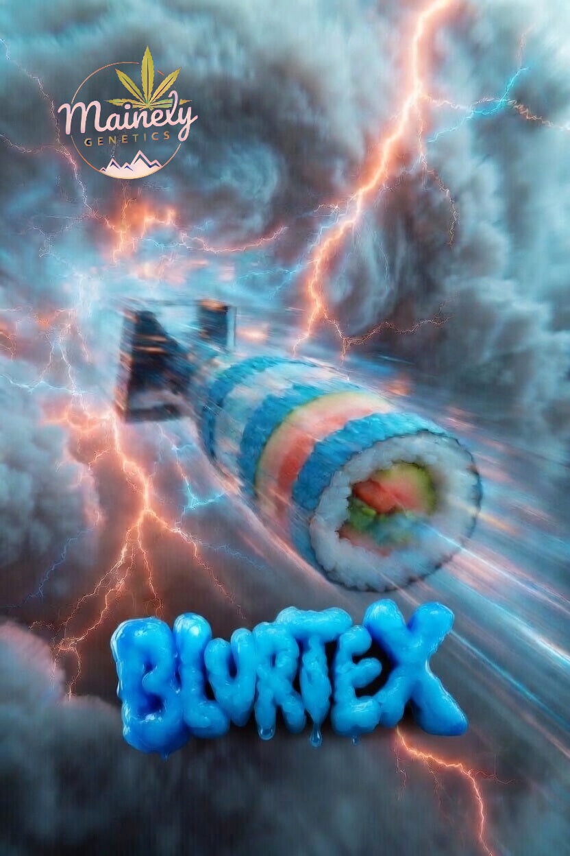 ALIEN VORTEX V1 box set