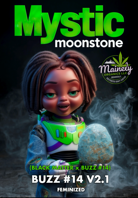 Mystic Moonstone (Black matter x buzz 14)