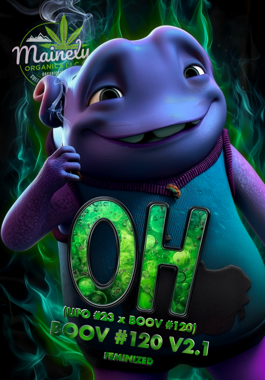 Oh (ufo23 x Boov 120)