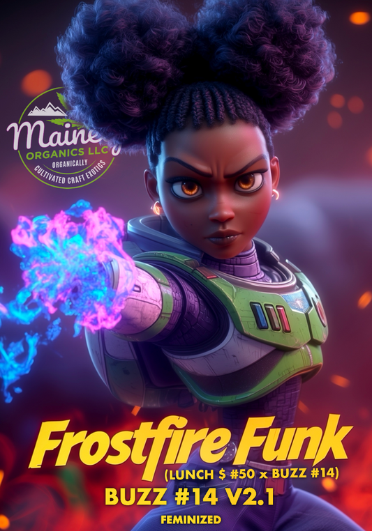 Frostfire Funk (Lunch $ 50 x buzz 14)