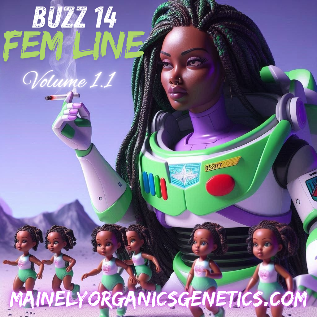Michaels Secret Stuff (Trico jordan x BUZZ 14)