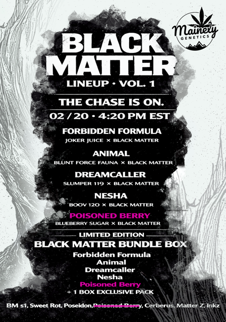 Black Matter V1 BOX SET