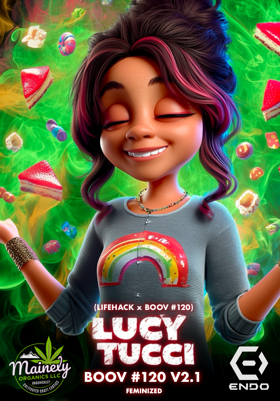 Lucy tucci (Lifehack x boov 120)