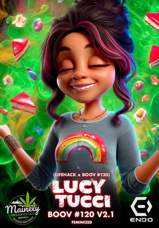 Lucy tucci (Lifehack x boov 120)