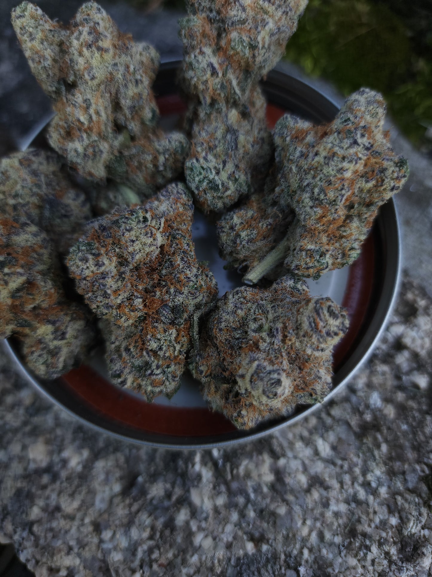 Budget 5 strain bundle