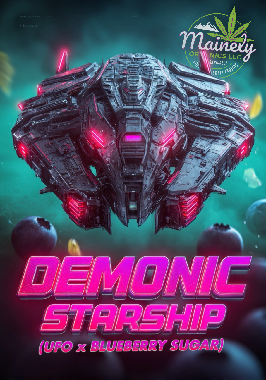 Demonic Starship (u.f.o x Blueberry sugar)