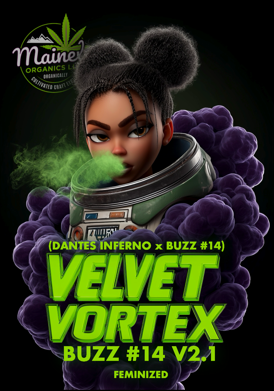 Velvet Vortex (Dantes inferno x buzz 14)