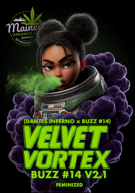 Velvet Vortex (Dantes inferno x buzz 14)