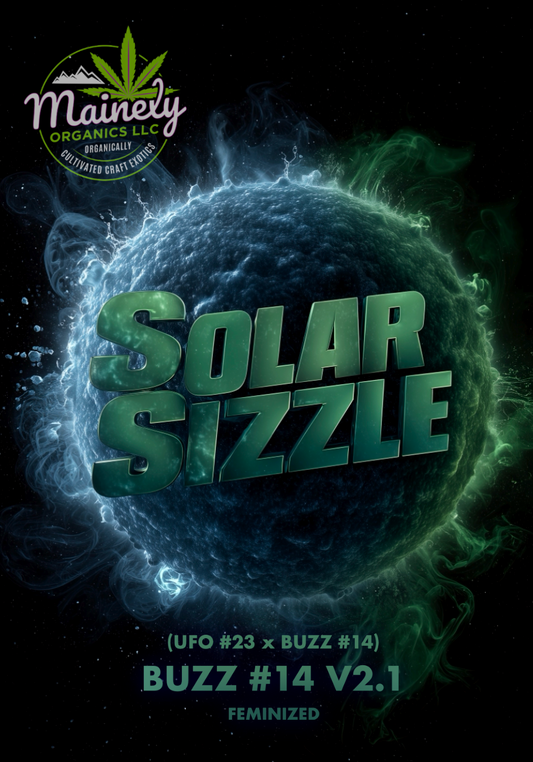 Solar sizzle (Ufo23 x buzz 14)