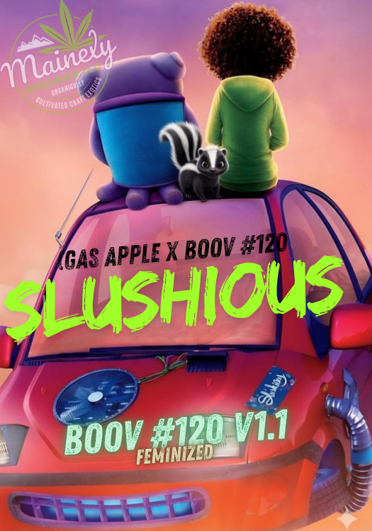 Slushious (Gas apple x Boov)