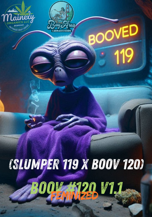 BOOOVED 119 (Slumper 119 x boov)