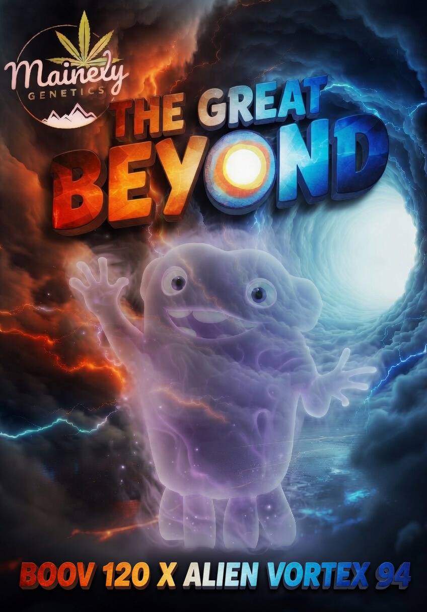 The Great Beyond (Boov120 x Alien Vortex 94) Fems – 6 Pack